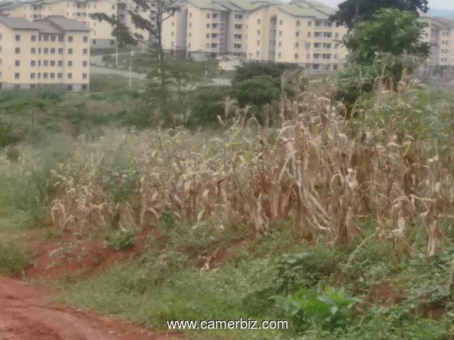 Offrez vous 500m2 titré a Yaoundé (pont emana 1,5km eu goudron ) - 7609