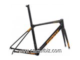 2019 Giant TCR Advanced Pro Frameset Road Bike - (Fastracycles) - 7777