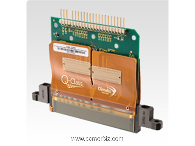 Sapphire QS-256/80 AAA Printhead (ARIZAPRINT) - 7801