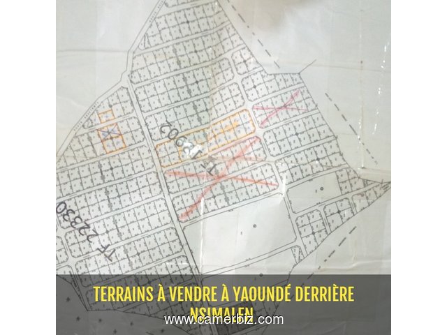 Terrains à vendre Yaoundé nsimalen 3 hectares - 7918