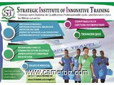 Strategic Institute of Innovative Trainning - 7928