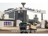 RECHERCHONS 10 PROFILS Fiscalistes POUR PROPOSITION LIBRE A L’EMBAUCHE DIRECTE CHEZ DANGOTE CAMEROUN