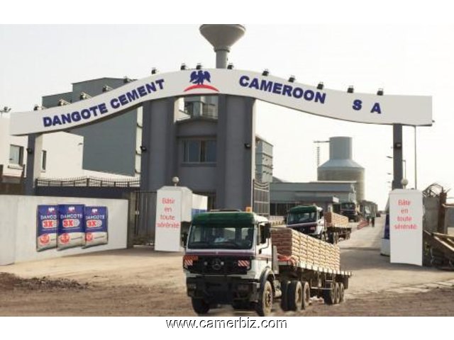 RECHERCHONS 10 PROFILS Fiscalistes POUR PROPOSITION LIBRE A L’EMBAUCHE DIRECTE CHEZ DANGOTE CAMEROUN - 8138