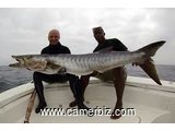 fresh fish on sale in limbe - 8180