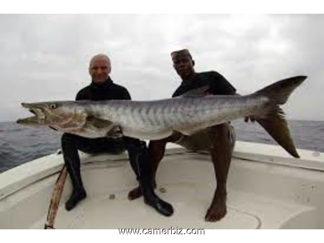 fresh fish on sale in limbe - 8180