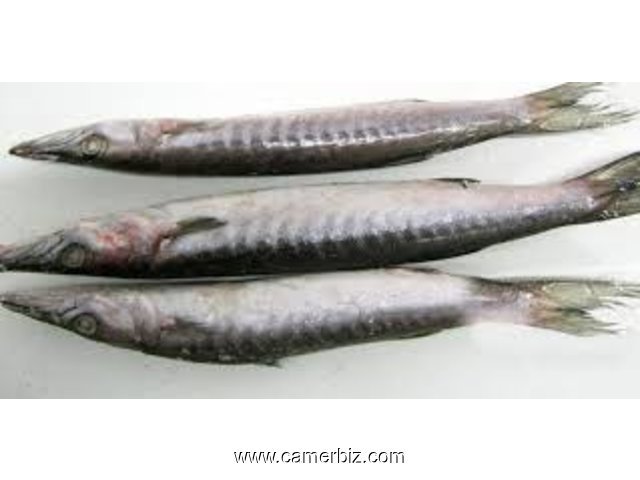 fresh fish on sale in limbe - 8180