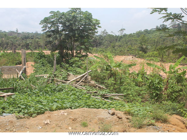 Terrain titré à vendre  - 8213