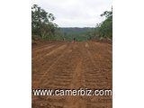 302 hectares nouveau lotissement en  cours à vendre à Douala Lendi après la chefferie sur la route n - 8290