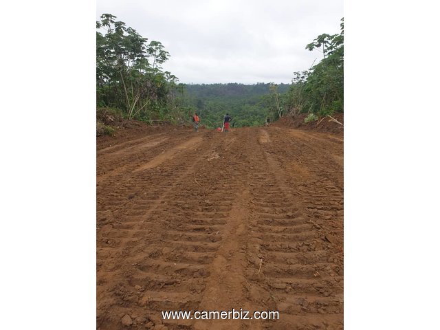 302 hectares nouveau lotissement en  cours à vendre à Douala Lendi après la chefferie sur la route n - 8290