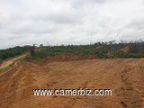 302 hectares nouveau lotissement en  cours à vendre à Douala Lendi après la chefferie sur la route n - 8290