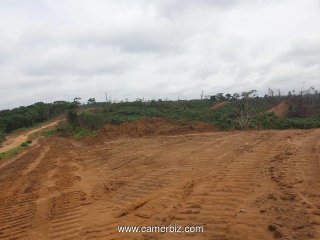 302 hectares nouveau lotissement en  cours à vendre à Douala Lendi après la chefferie sur la route n - 8290