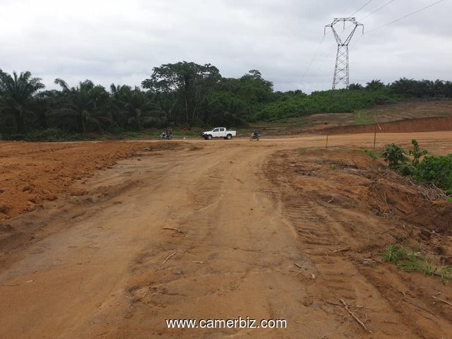 302 hectares nouveau lotissement en  cours à vendre à Douala Lendi après la chefferie sur la route n - 8290