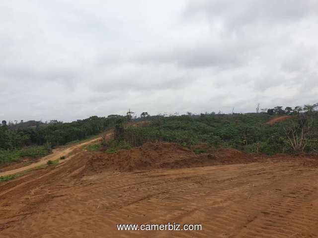 302 hectares nouveau lotissement en  cours à vendre à Douala Lendi après la chefferie sur la route n - 8290