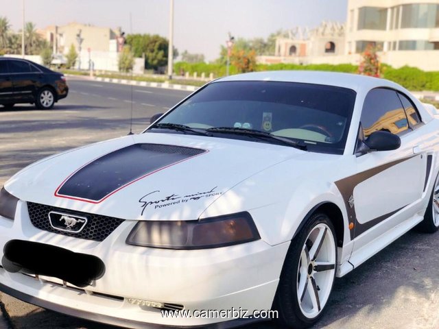 Ford mustang for sale  - 8313