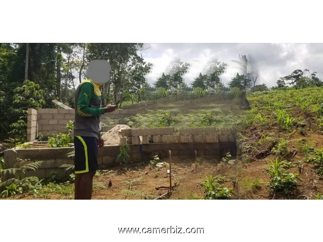 Terrain titré 7 500 FCFA à Nkolnda  - 8451