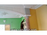 Peinture bâtiment, décoration et staff - 8576
