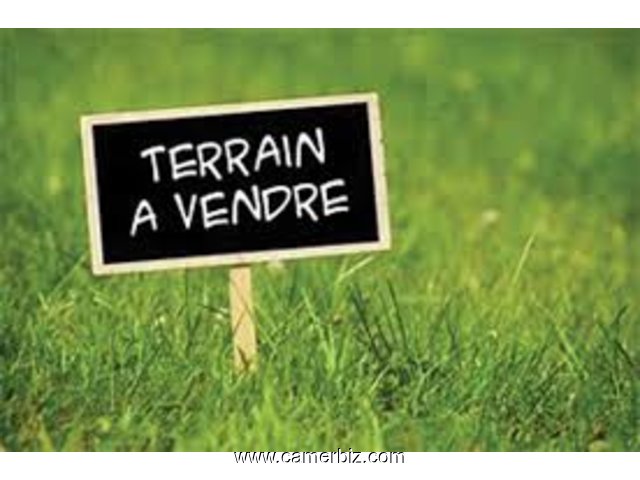 TERRAIN TITRE A LOGBABA JARDIN - 8693