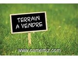 TERRAIN TITRE DE 500 M2 A LOGBESSOU (MORCELABLE EN 2)