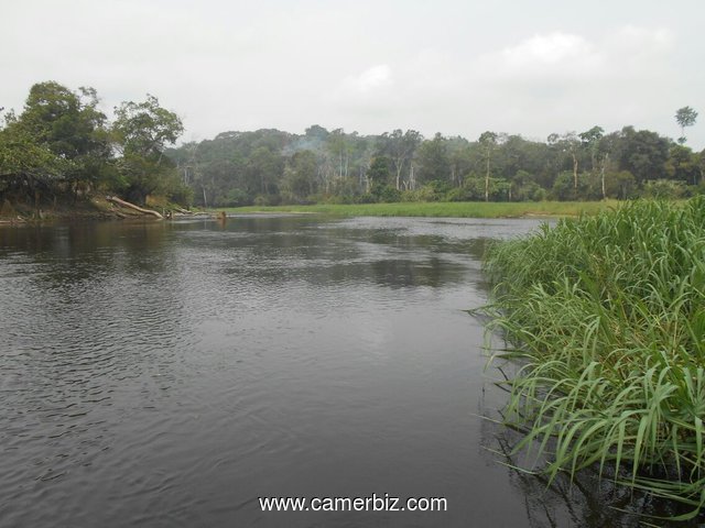 500 Hectares de Terrain Agricole  à Louer à proximité de Yaoundé la Capitale du Cameroun - 874