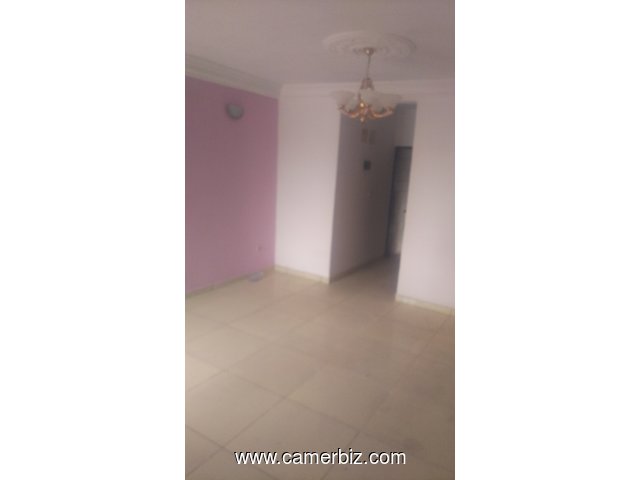 Urgent appartement haut standing à louer à Ange Raphaël Mont Essec  - 8818