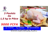 Poulets Frais & Nettoyés - 8883