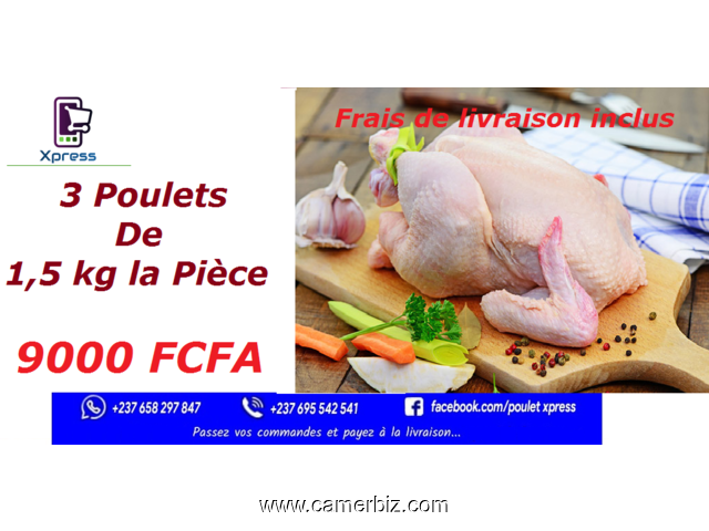 Poulets Frais & Nettoyés - 8883