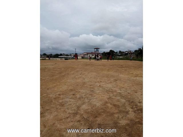 Terrain Titré a Vendre a Douala Ndogpassi, 6000 m² (12 lots de 500 m²) - 8891