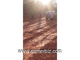 Terrain titré a vendre sur la route de nkolafamba - 8906