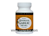 ODORLESS GARLIC