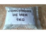 concombre de mer - 9025