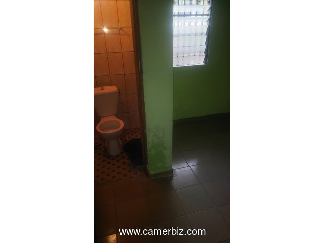 Location Chambre Moderne à Ndogbong IUT - 25000 - 9043