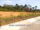 Terrain titré et loti à kribi-urbain - 9090