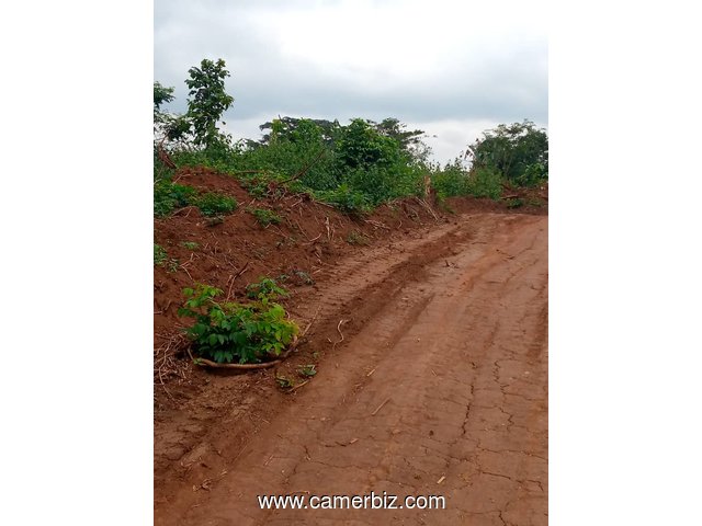 terrain a vendre à Ebang - 9517