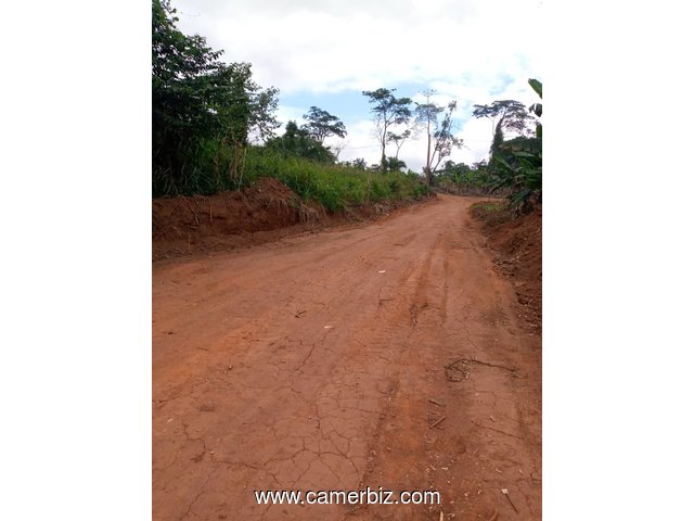 terrain a vendre à Ebang - 9517