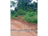 terrain a vendre à Ebang - 9517