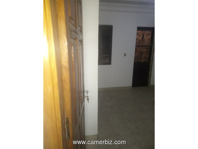 des appartements de standing à louer a deido douala - 9778