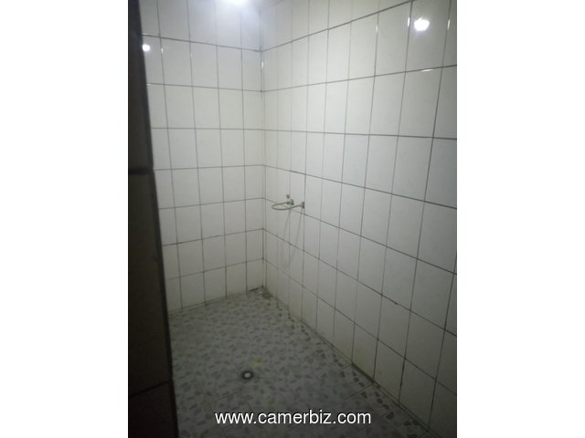 des appartements de standing à louer a deido douala - 9778