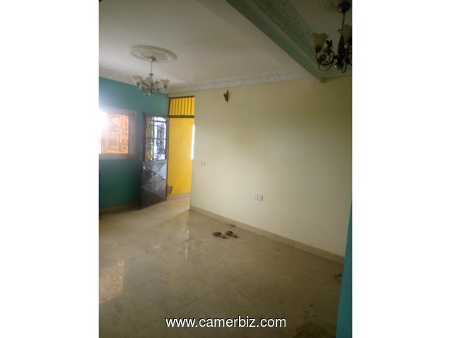 Appartements à louer à Makepè Missokè - 9897