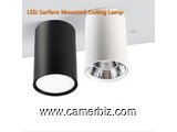 Mounted Ceiling Lamp à vendre - 9973