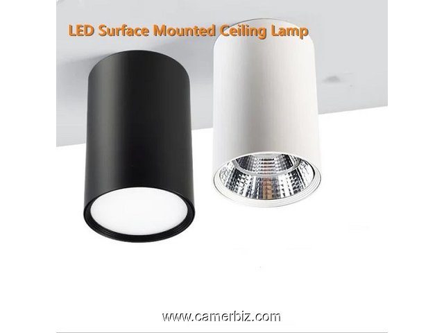 Mounted Ceiling Lamp à vendre - 9973