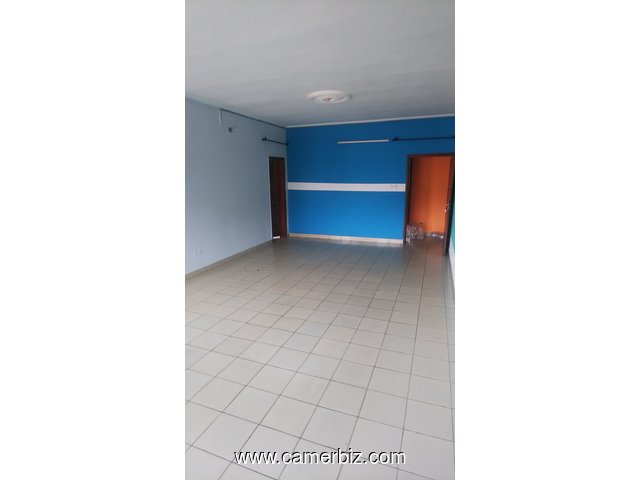 Vaste Appartement à louer à Ndogbong - 9998